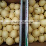 Crown Pear thumbnail-1