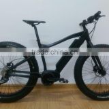 bafang max fat BTN e bike 36V 350W ( Hj-M21 )