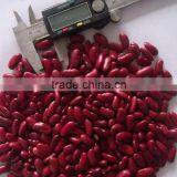 British Red Kidney Bean,220-240pcs/100g,200-220PCS/100G thumbnail-1