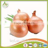 Fresh Red Onion Yellow Onions thumbnail-3