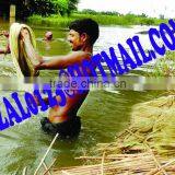 Raw Jute thumbnail-6