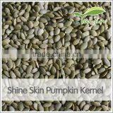 Chinese High Quality Pepitas Pumpkin Seeds thumbnail-6