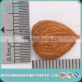 2016 New Crop Organic Apricot Nuts & Kernels thumbnail-3