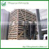 Sansevieria Wholesale Indoor Plants thumbnail-6