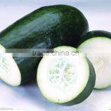 Wax Gourd Benincasa Hispida
