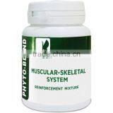 Phyto-blend "Muscular-skeletal system reinforcement mixture"