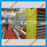 Battery Cage and Egg Collection