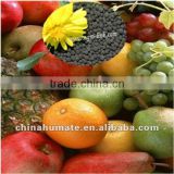 Chinese min-granular Boron humic acid fertilizer wholesaler
