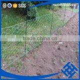 Useful Fish Trap Hexagonal Wire Mesh thumbnail-4