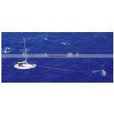 Fishing Sea Anchor thumbnail-2