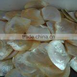 Wholesale Polished White Yellow Mother of Pearl Raw Shells