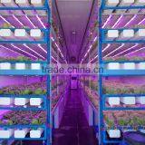 Greenhouse Fabrics thumbnail-3