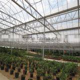 Cheap Chinese Tunnel PVC/PE Greenhouse for Sale thumbnail-2