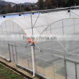 Arch Pipes Poly Multi-span Greenhouse for Vegetables thumbnail-5