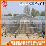 China Plastic Tomato Greenhouse Roll up Motor for Ventilation for Sale thumbnail-1