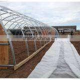 Wholesale and Cheap Plastic Agricultural Greenhouse Film in Jumbo Roll thumbnail-3
