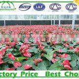 Agriculture One Stop Gardens Greenhouse Parts Manufacturer thumbnail-2