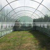 2015 New Style Professional Tunnel Greenhouse thumbnail-2