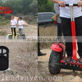 Leadway Equipped With Dual Wheels Folding Electric Bike 0ff Road( RM09D-T444) thumbnail-1