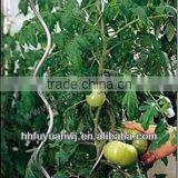 Competitive Flower Plant Support