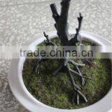 Man Made Resin Craft Artificial Led Light Bulb Potted Tree thumbnail-5