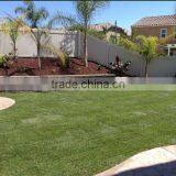 Fake Lawn Green Landscaping Grass for Sale thumbnail-5