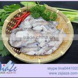 Baby Squid thumbnail-1