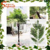 Guangzhou Supplier Artificial Fern Palm Tree Customized Plastic Artificial Fern Palm Tree thumbnail-2