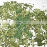 Best Carica Leaf thumbnail-1