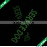 Photoluminescent Glass-made Leather Marks thumbnail-5