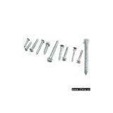 Self Tapping Screws thumbnail-1