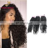 Factory price 100% Malaysian human virgin 9A grade hair weaving in deep curly cuticle aligned hair