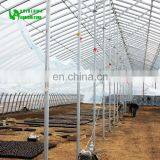 Customized High Quality&Commercial Hoop Greenhouse With Low Price thumbnail-4
