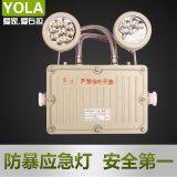 Best Price Explosion-proof Waterproof Emergency Rechargeable Led Lights thumbnail-4