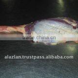 Frozen Halal Buffalo Kasila, Red Beef Meat thumbnail-1