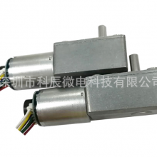 370 Worm and Gear Micro Reduction Motor With Encoder thumbnail-2