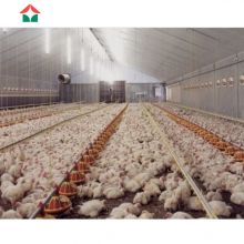 China prefabricated  chicken poultry natural ventilation chicken house