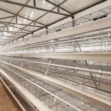 Poultry farming equipment automatic chicken battery cage