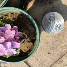 Factory Direct Selling Customized Size Nickel Based Alloy Tube Inconel 625 thumbnail-4