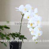 High Simulation Butterfly Orchid a Plastic Handle Great Branches 11 Head Simulation Flowers/wedding Decoration thumbnail-4