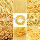 Macaroni /pasta/spaghetti Machine /pasta Macaroni Plant thumbnail-6