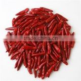 Red Dried Chilli With Best Price