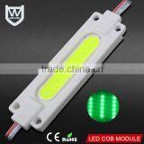 DC12v Led Module Injection Waterproof Best Price 2w Cob Led Module for Led Advertising Signs Light Quality Choice