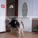 Modern House Design Fiberglass Door With SMC Material thumbnail-3