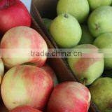 Fresh Fruits and Vegetables, Fresh Pear