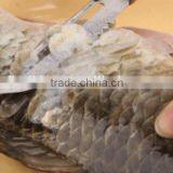 Stainless Steel Fruit Peeler Fish Scale Scraper Multifunction Kitchen Tools With ABS Handle thumbnail-2