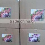 Dubai Microfiber Fabric for Bed Sheet thumbnail-4