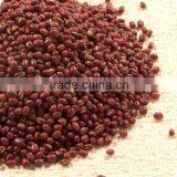 Red Azuki Bean thumbnail-1