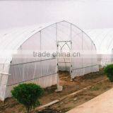 Greenhouse for Horticultural Greenhouse for Vegetable Green Houses Material thumbnail-3