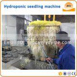 Millet Grass Fodder Sprouting Machine, Automatic Green Animal Hydroponic Fodder Making Machine